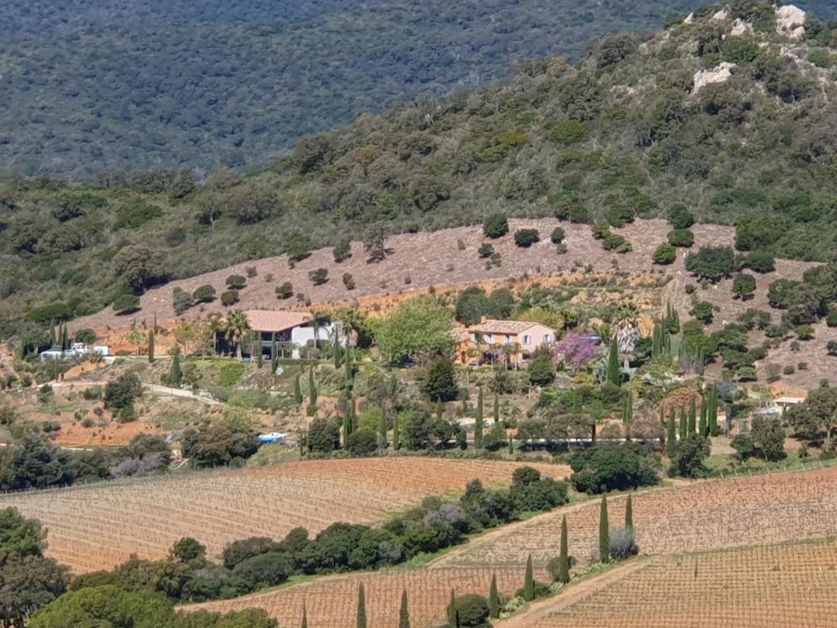 Bel Appart Style Vintage Vue Mer La Londe-les-Maures Exterior foto