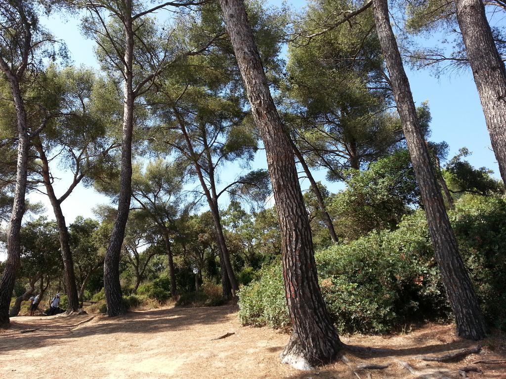 Bel Appart Style Vintage Vue Mer La Londe-les-Maures Quarto foto